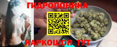 амф Пушкино
