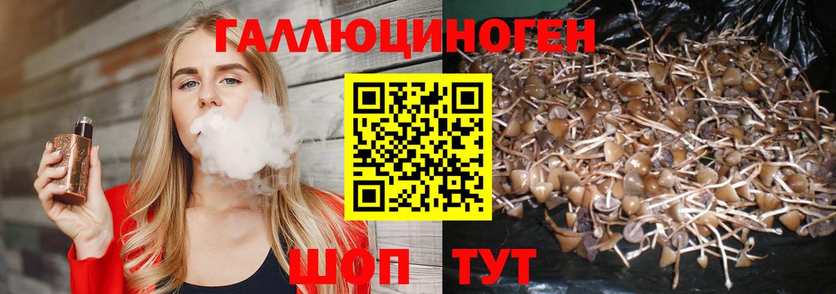 Советская Гавань  где найти   Вход с VPN  Галлюциногенные грибы GOLDEN TEACHER 